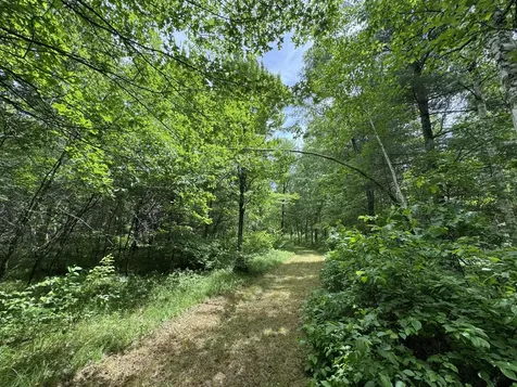 Tbd County Road 13 Nisswa MN 56468