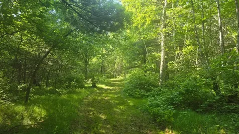 Tbd County Road 13 Nisswa MN 56468