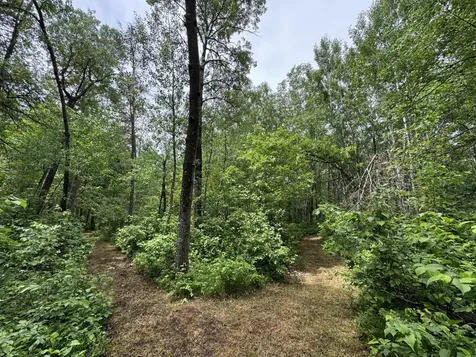 Tbd County Road 13 Nisswa MN 56468