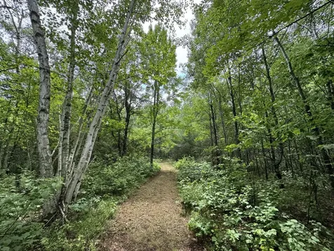 Tbd County Road 13 Nisswa MN 56468
