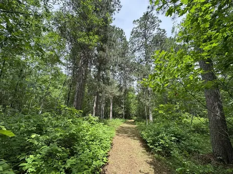 Tbd County Road 13 Nisswa MN 56468