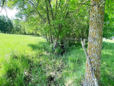 Tbd Highway 92 Clearbrook MN 56634