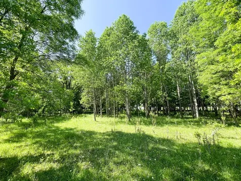 Tbd Highway 92 Clearbrook MN 56634