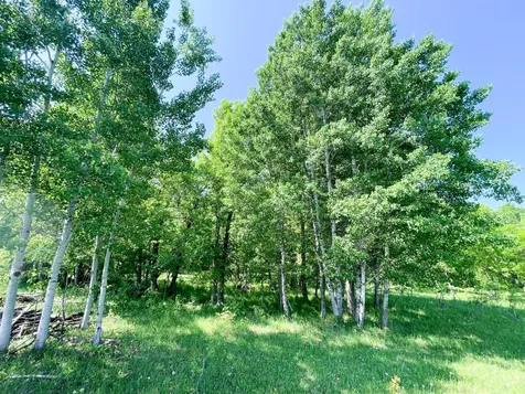 Tbd Highway 92 Clearbrook MN 56634