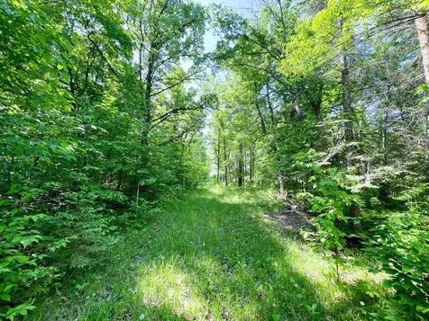 Tbd Highway 92 Clearbrook MN 56634