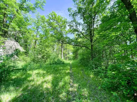 Tbd Highway 92 Clearbrook MN 56634