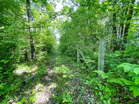 Tbd Highway 92 Clearbrook MN 56634