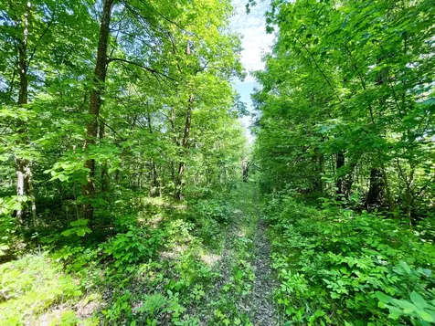 Tbd Highway 92 Clearbrook MN 56634
