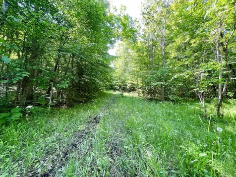 Tbd Highway 92 Clearbrook MN 56634