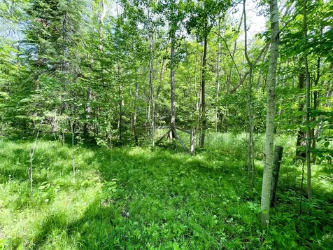 Tbd Highway 92 Clearbrook MN 56634