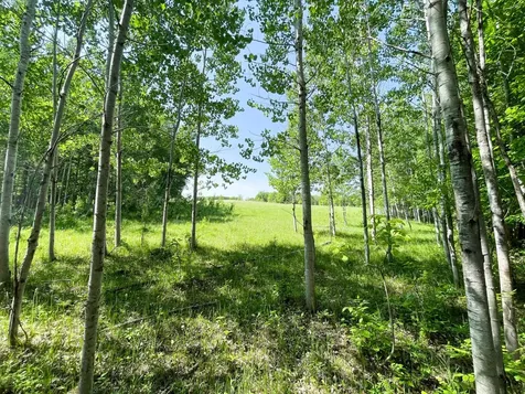Tbd Highway 92 Clearbrook MN 56634