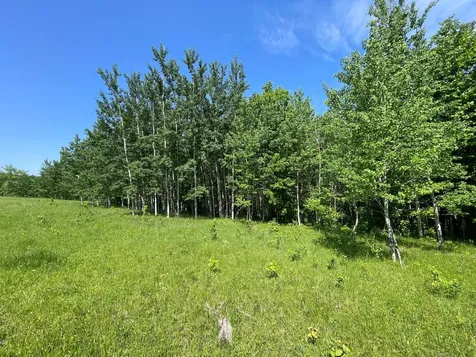 Tbd Highway 92 Clearbrook MN 56634