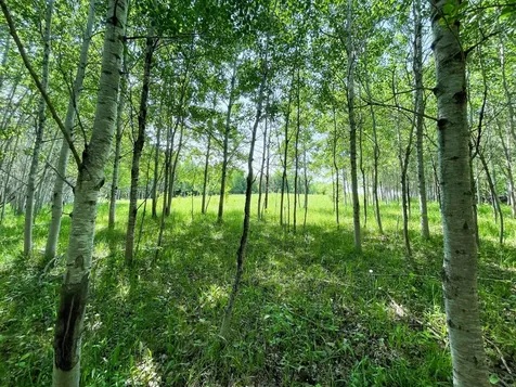 Tbd Highway 92 Clearbrook MN 56634