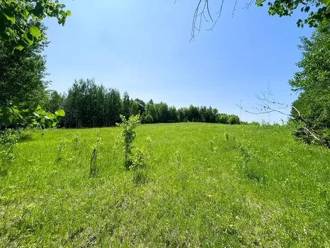 Tbd Highway 92 Clearbrook MN 56634