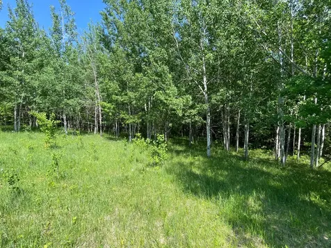 Tbd Highway 92 Clearbrook MN 56634