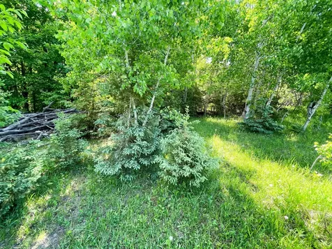 Tbd Highway 92 Clearbrook MN 56634