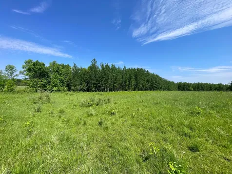 Tbd Highway 92 Clearbrook MN 56634