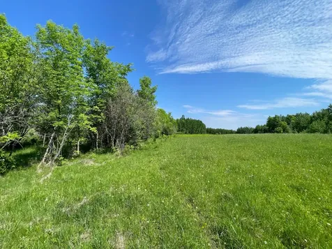Tbd Highway 92 Clearbrook MN 56634
