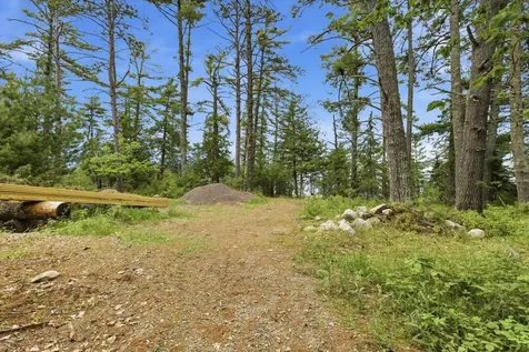 5298 Long Island Tower MN 55790