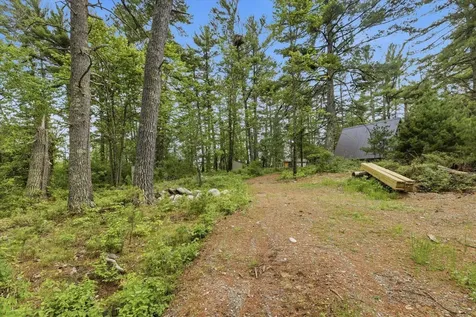 5298 Long Island Tower MN 55790