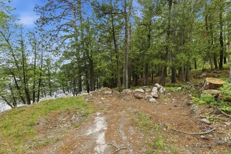 5298 Long Island Tower MN 55790