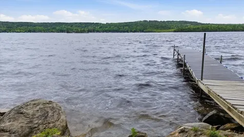 5298 Long Island Tower MN 55790