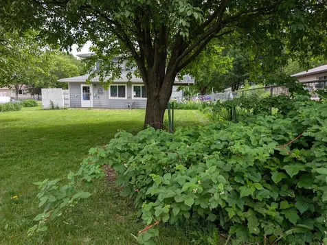 501 Prospect Street Milroy MN 56263
