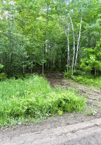 Tbd Frontier Lane Sturgeon Lake MN 55783