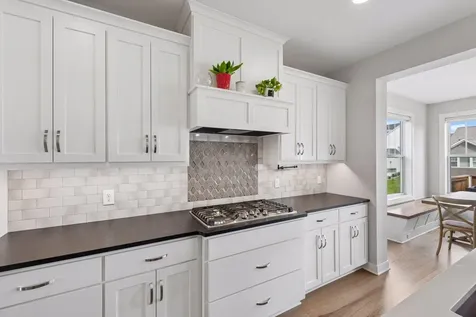 4392 Millstone Court Chaska MN 55318