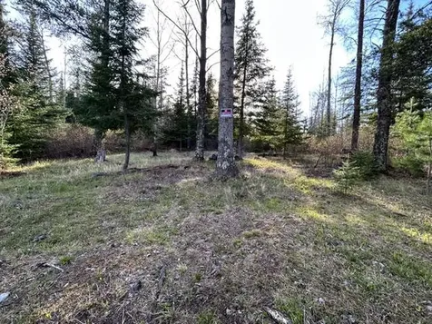 6413 E Barker Road Gilbert MN 55741