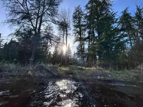 Tbd Moonlit Island Makinen MN 55763