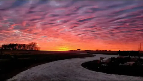 10319 30 Highway SW Hayfield MN 55940