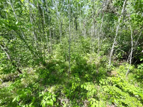 Tbd Stone Lake Road SW Bemidji MN 56601