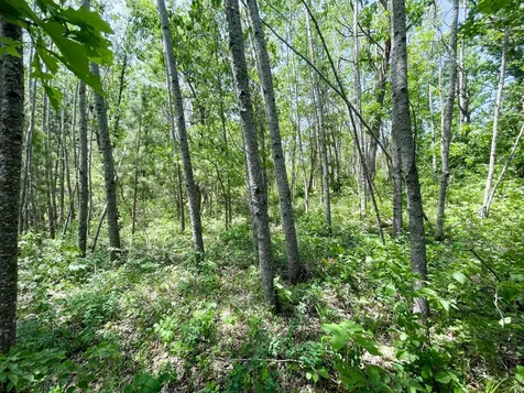 Tbd Stone Lake Road SW Bemidji MN 56601