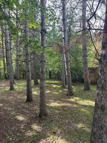 919 8th Street Cloquet MN 55720
