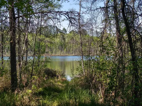9064 Peppard Road Britt MN 55710