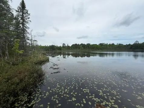 9064 Peppard Road Britt MN 55710