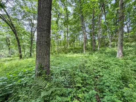 00 Dopp Ettrick WI 54627