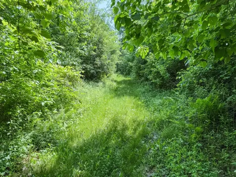 00 Dopp Ettrick WI 54627