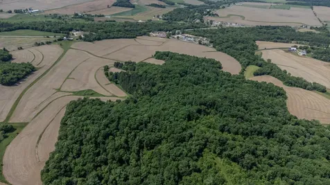 0 Dopp Road Ettrick WI 54627