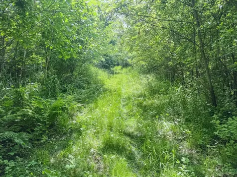 0 Dopp Road Ettrick WI 54627