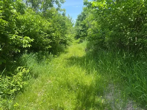 0 Dopp Road Ettrick WI 54627