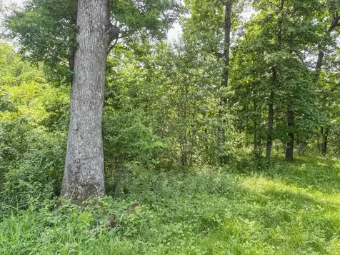 0 Dopp Road Ettrick WI 54627