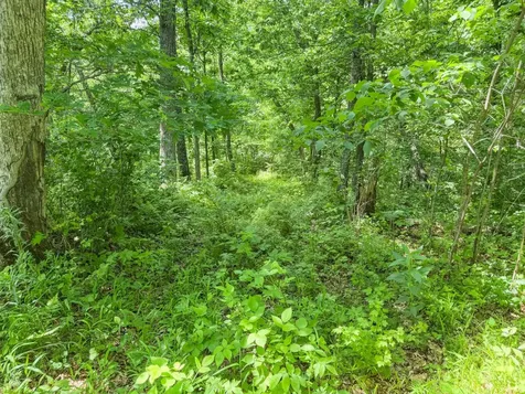 0 Dopp Road Ettrick WI 54627