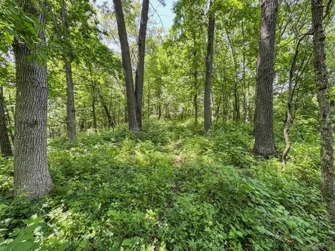 0 Dopp Road Ettrick WI 54627