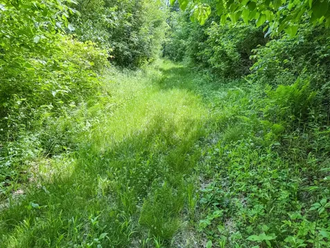 0 Dopp Road Ettrick WI 54627