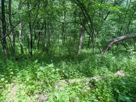 0 Dopp Road Ettrick WI 54627