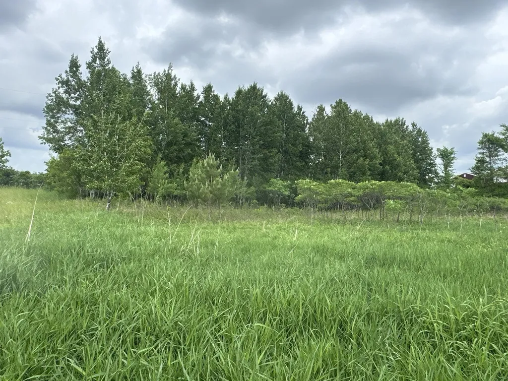 Tbd 10 1/2 Avenue Clayton WI 54004