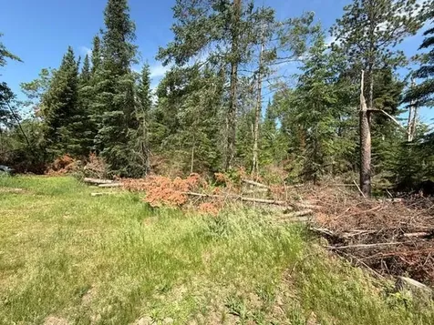 51215 Wildwood Road Cass Lake MN 56633