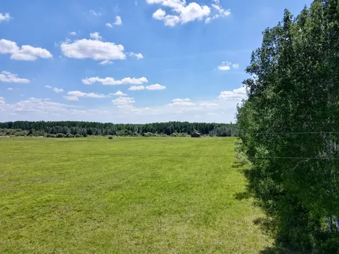 11971 Scofield Road Togo MN 55723